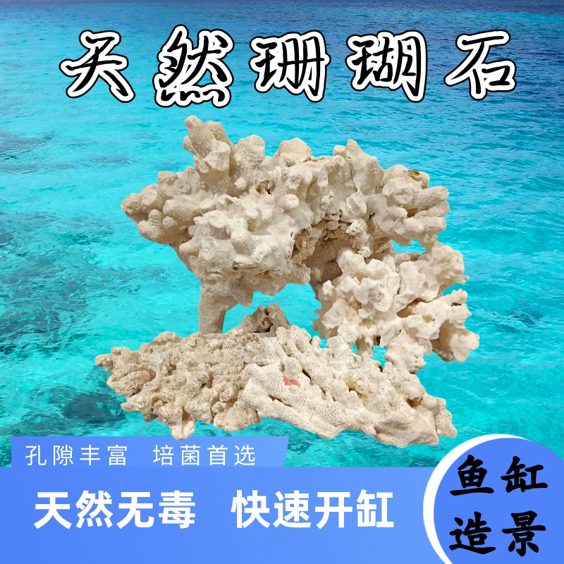 天然珊瑚海缸造景石水族珊瑚骨滤材鱼缸假山死石活石萌爬宠躲避屋图片