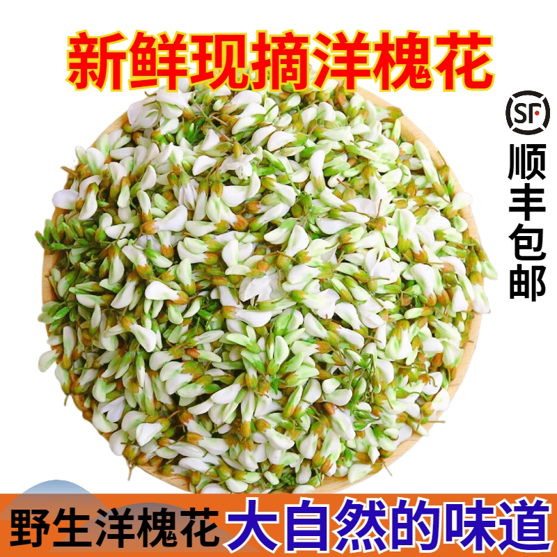 2025年新鲜速冻洋槐花可吃洋槐花可食用鲜花当季蔬菜