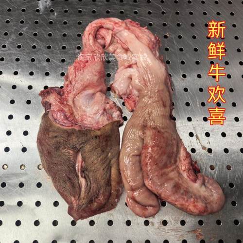 屠宰场直供牛欢喜整套青年黄牛