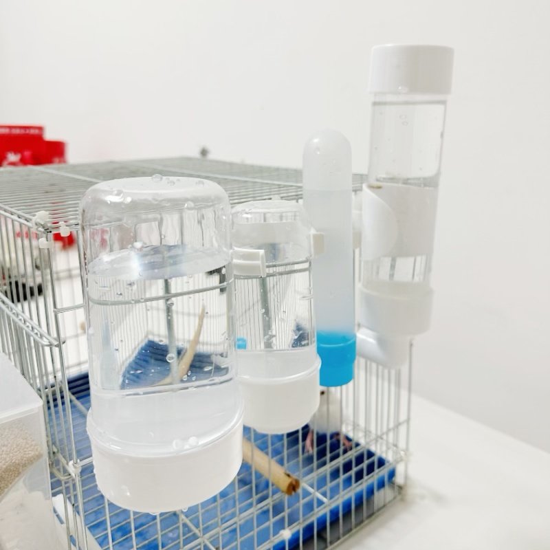 鹦鹉八哥鸟用大号自动饮水器喂水喂食器食罐食盒防撒鸟笼配件,宠物/宠物食品及用品,鸟禽喂食器/喂水器,淘宝优惠券,粉丝福利购,淘宝优惠卷