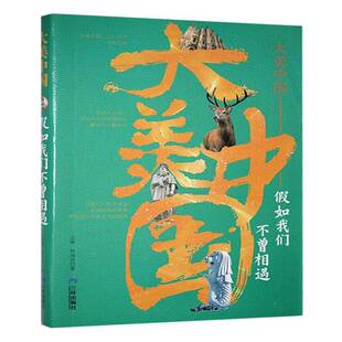 RT正常发货 大美中国:假如我们不曾相遇9787807733171 沈琳三环出版社文学书籍
