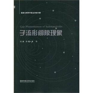 RT正常发货 子流形间隙现象9787567305694 刘进国防科技大学出版社自然科学书籍