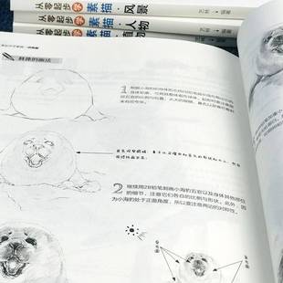 艺林民主与建设出版 RT正版 9787513935203 全4册 社艺术书籍 从零起步学素描