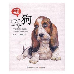 RT正版 狗9787553768359 宋洋江蘇科學(xué)技術(shù)出版 社藝術(shù)書籍 萬物我畫