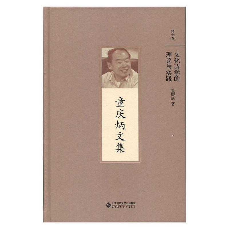 RT正版文化诗学的理论与实践9787303192205童庆炳北京师范大学出版社文学书籍