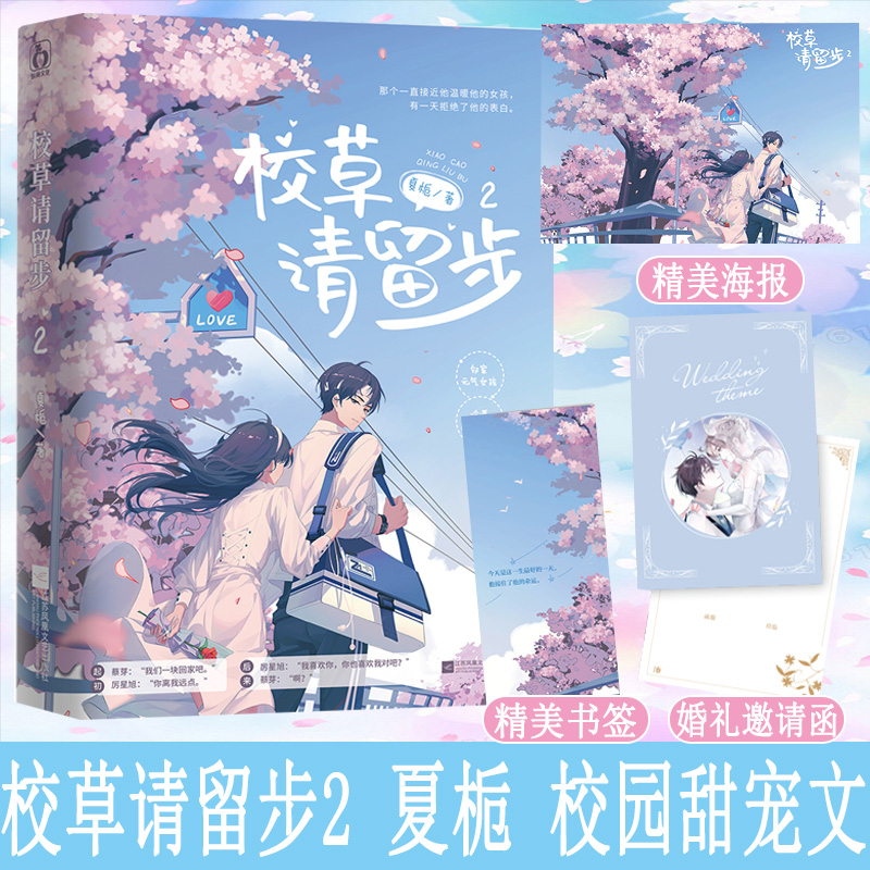 校草请留步2 夏栀著高冷校草vs小太阳女主都市言情青春校园甜宠文