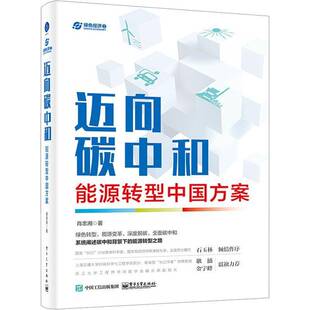 RT现货速发 迈向碳中和:能源转型中国方案9787121401725 肖忠湘电子工业出版社经济书籍