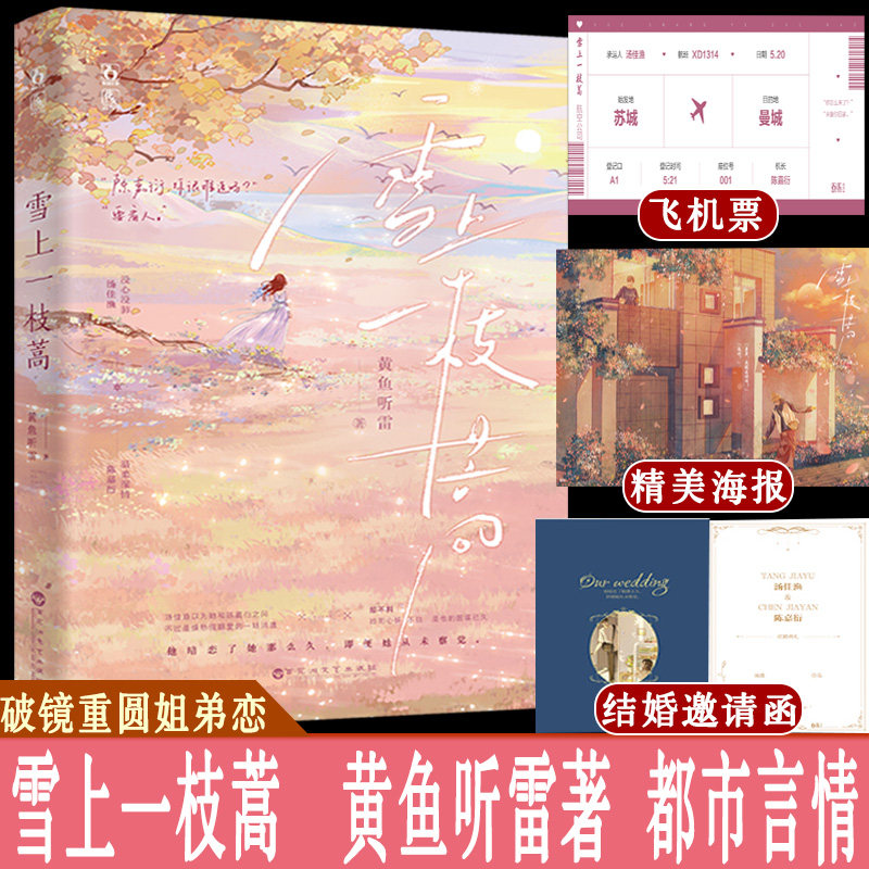 雪上一枝蒿 黄鱼听雷著 破镜重圆姐弟恋 暗恋成真 一见钟情的都市言情