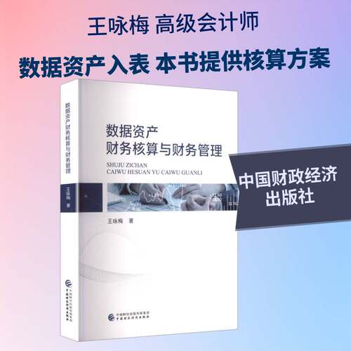 RT现货速发 数据资产财务核算与财务管理9787522341569 王咏梅中国财政经济出版社计算机与网络书籍