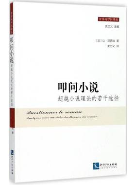 RT正版 叩问小说:小说理论的若干途径:quelques voies au-dela des theories du9787513049139 让·贝西埃知识产权出版社文学书籍