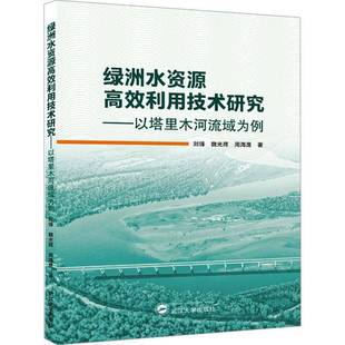 社工业技术书籍 刘锋武汉大学出版 RT正版 绿洲水资源利用技术研究——以塔里木河流域为例9787307241787