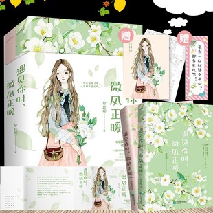 赠书签+明信片】遇见你时微风正暖全2册 黎珍妮著 一段不期而遇的甜蜜恋情 现代都市情感青春言情爱情小说偷偷藏不住 恋如青柠香