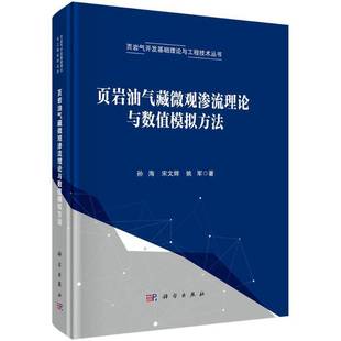RT正版 社工业技术书籍 页岩油气藏微观渗流理论与数值模拟方法9787030795786 孙海科学出版