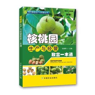 社工业技术书籍 张美勇中国农业出版 RT正版 核桃园生产与经营致富一本通9787109236011