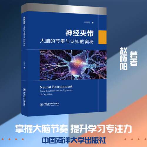 RT现货速发 神经夹带:大脑的节奏与认知的奥秘9787567043817 赵怀阳中国海洋大学出版社图书书籍