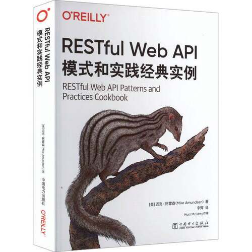 RT现货速发 RESTful Web API模式和实践经典实例9787523905326 迈克·阿蒙森中国电力出版社计算机与网络书籍