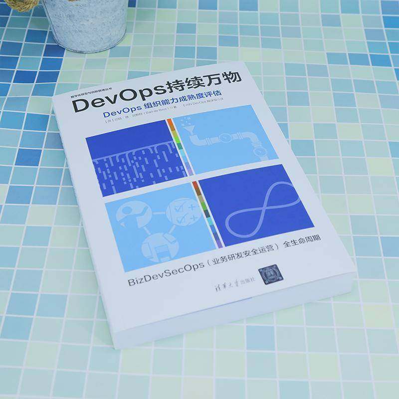 RT正版 DevOps 持续万物:DevOps组织能力成熟度评估9787302629917 巴特·德·贝斯特清华大学出版社计算机与网络书籍