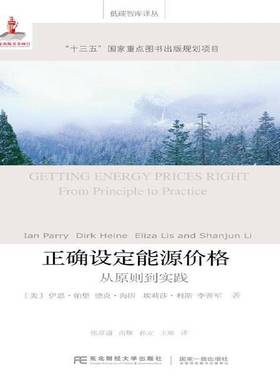 RT正版 正确设定能源价格:从原则到实践:from principle to practice9787565430299 伊恩·帕里东北财经大学出版社经济书籍