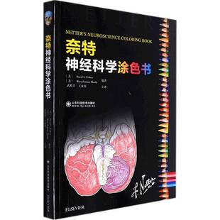 RT正常发货 奈特神经科学涂色书9787572310836 山东科学技术出版社医药卫生书籍