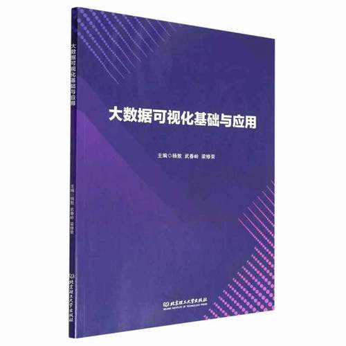 RT正版 大数据可视化基础与应用9787576307405 杨敖北京理工大学出版社计算机与网络书籍