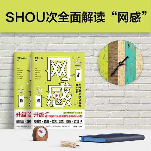 RT现货速发 网感：在网络世界受人欢迎的基本能力9787513930284 李嗲民主与建设出版社管理书籍