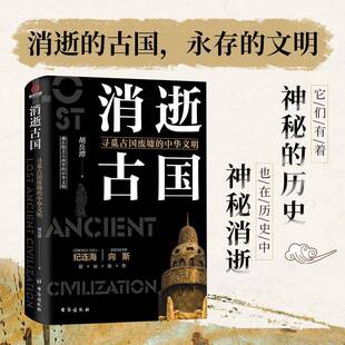消逝古国 胡岳潭台海出版 寻觅古国废墟 9787516826300 社历史书籍 中华文明 RT正版