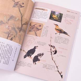 飞乐鸟人民邮电出版 跟名家学画鸟兽鱼虫9787115635907 社艺术书籍 国画之道 RT正版