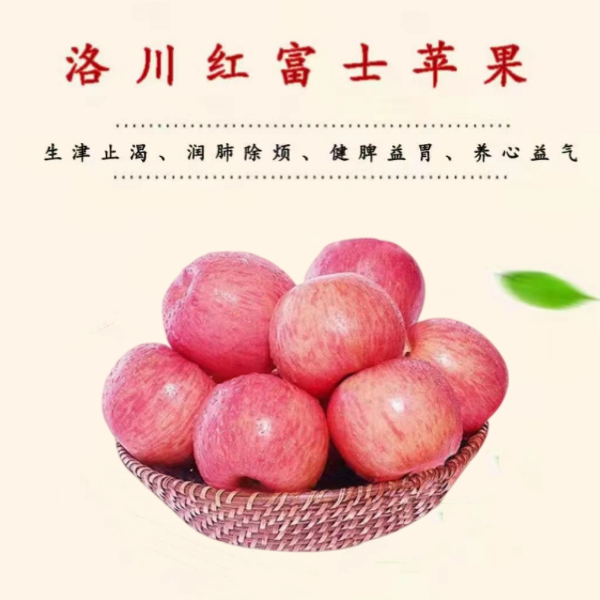 陕西延安苹果洛川苹果红富士