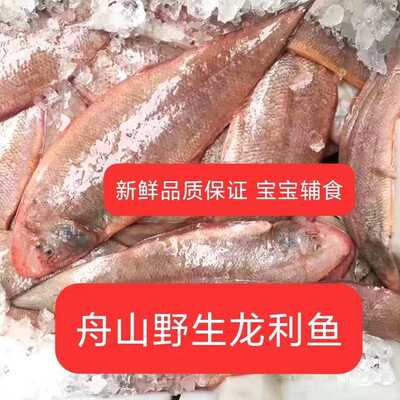 新鲜冷冻深海舟山野生龙利鱼