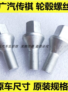 适用传祺GS4轮毂螺丝GA8A6GA5A3GS8车轮钢板螺丝祺智埃安轮胎螺母
