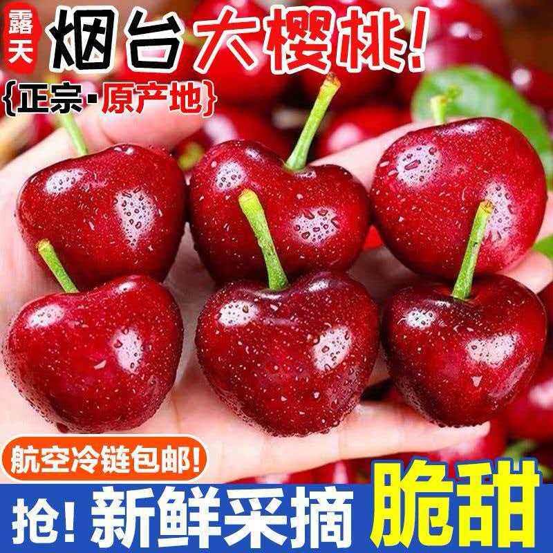正宗烟台美早大樱桃现摘现发