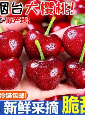 正宗烟台美早大樱桃现摘现发