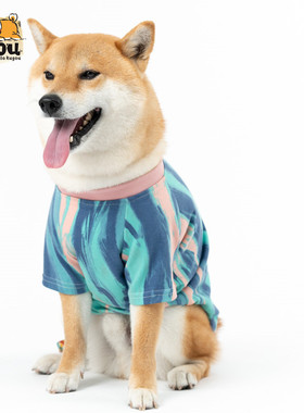 宠物狗狗猫咪独家设计柴犬贵宾泰迪潮牌春夏季新款宠物狗狗猫咪T