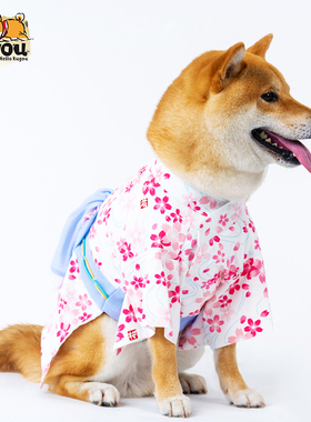 宠物狗猫手工定制日本进口日式柴犬柯基樱花拍摄写真出游春游和服