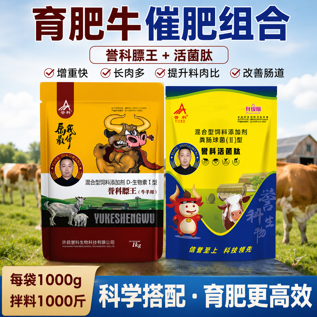 誉科膘王活菌肽育肥牛催肥饲料添加剂益科标王牛羊壮膘肉牛增重王