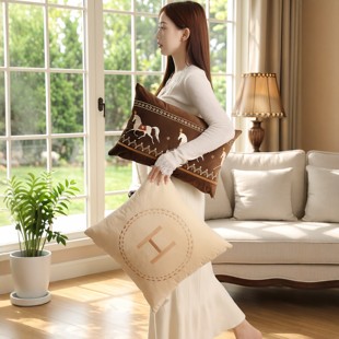 2026新款刺绣马图案抱枕靠垫方形沙发客厅棕色可拆洗家用法式定制