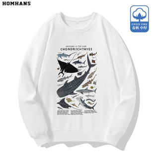 软骨鱼纲鲨鱼鳐形目海洋动物圆领卫衣长袖秋冬宽松厚款上衣外套