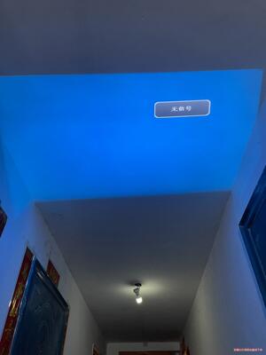 Poner Saund/轰天炮 LED-86+ 轰天炮LED议价商品