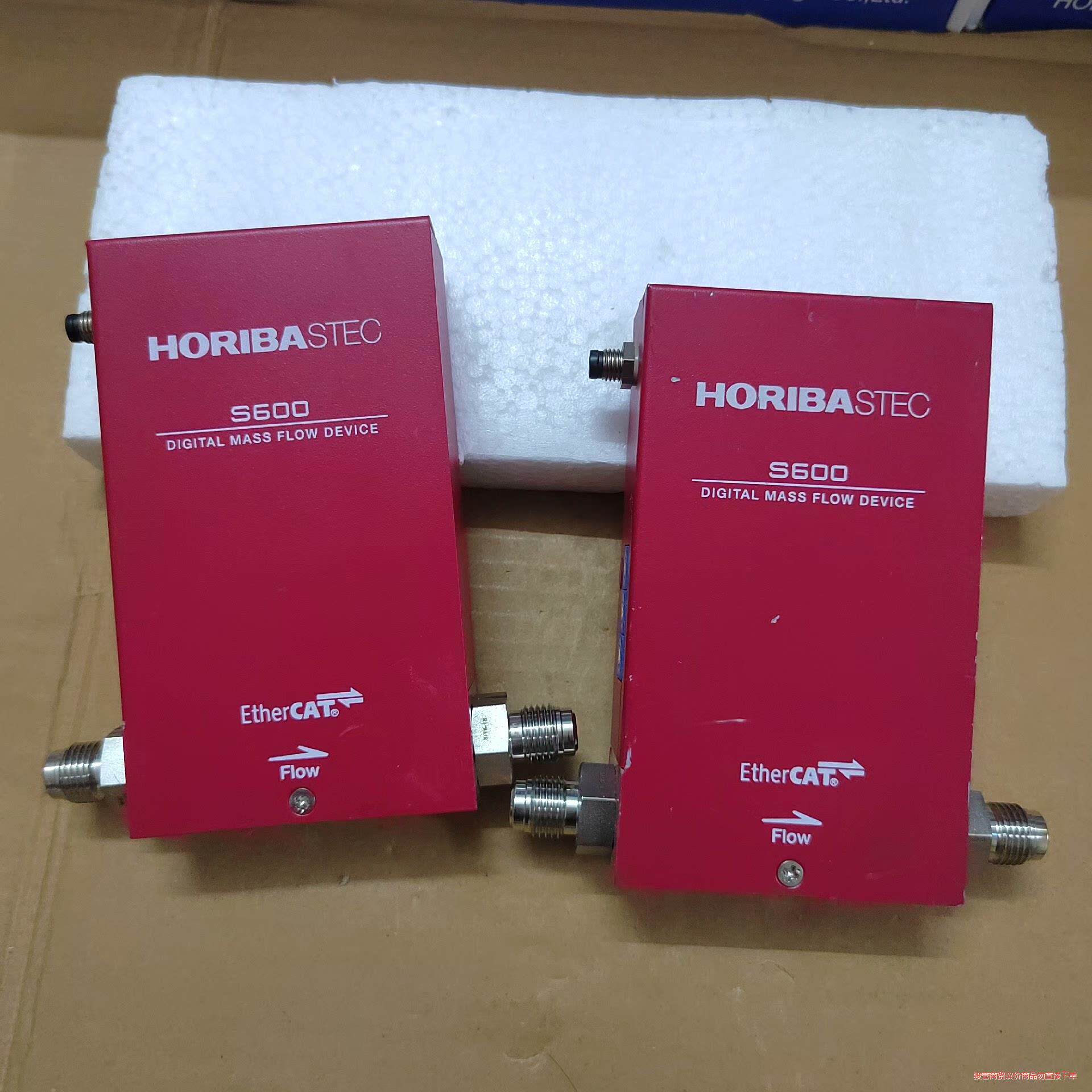 Horiba流量计S600-BR527，N2O，20SLM，议价商品