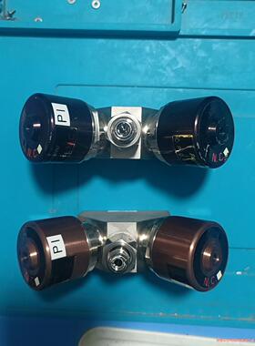 富士金双头隔膜阀组FBNDV-12.7-2B3-DGO，1/(议价商品）