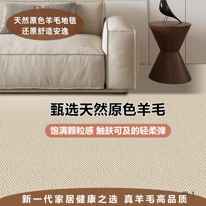 博奕地毯卧室客厅素色羊毛舒适