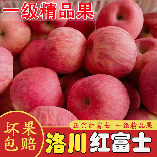 【送礼首选】正宗洛川苹果脆甜