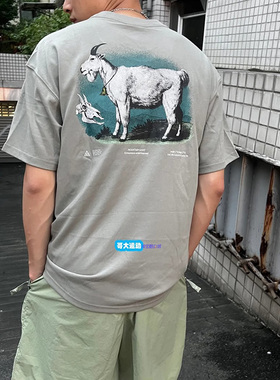 Nike耐克灰色T恤男装冬季ACG山羊印花短袖健身透气运动服FV3493