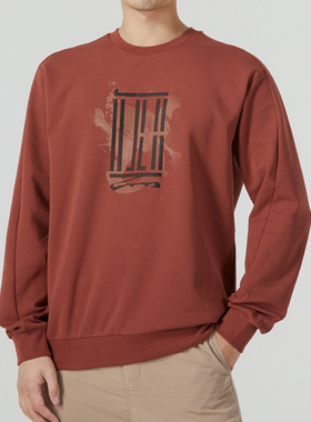 阿迪达斯官方男装卫衣2025秋新款运动服武极系列圆领套头衫IS0448