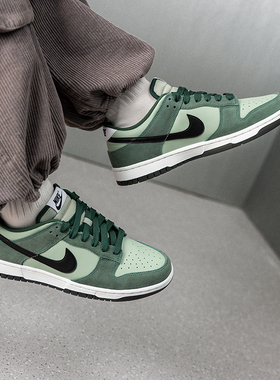 NIKE耐克男鞋绿色板鞋2026春季新款低帮运动休闲鞋 IB6399-301