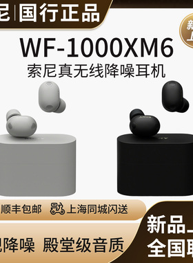 【新品】Sony/索尼WF-1000XM6 双芯超旗舰降噪真无线耳机 降噪豆6