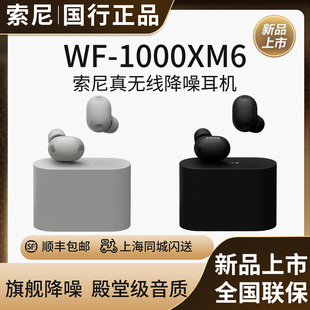 【新品】Sony/索尼WF-1000XM6 双芯超旗舰降噪真无线耳机 降噪豆6