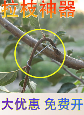 果树拉枝器定型樱桃扭拔