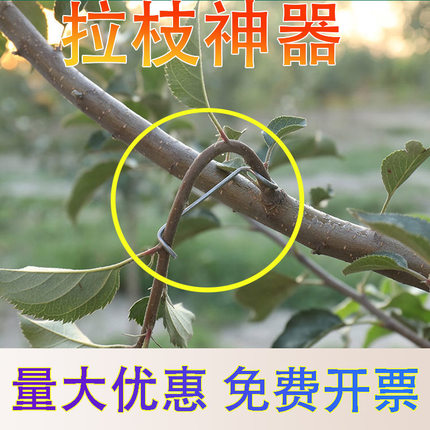 果树拉枝定型器压枝苹果树花卉盆景樱桃别枝器弯枝开角器折枝神器