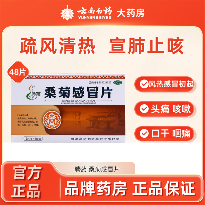 腾药 桑菊感冒片 48片/盒风热感冒头痛咳嗽咽痛疏风清热宣肺止咳